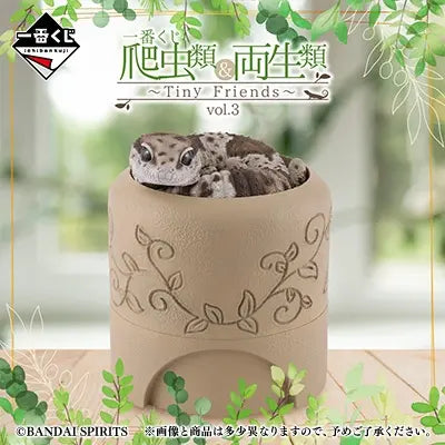 爬蟲類＆兩棲類～Tiny Friends～vol.3