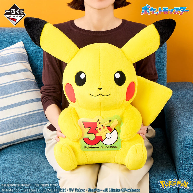 POKEMON 30th ANNIVERSARY vol.1
